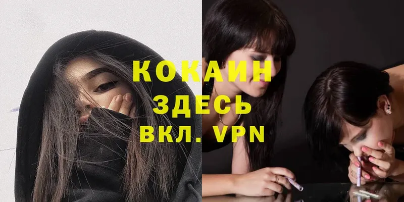 COCAIN VHQ  как найти закладки  Нестеров 